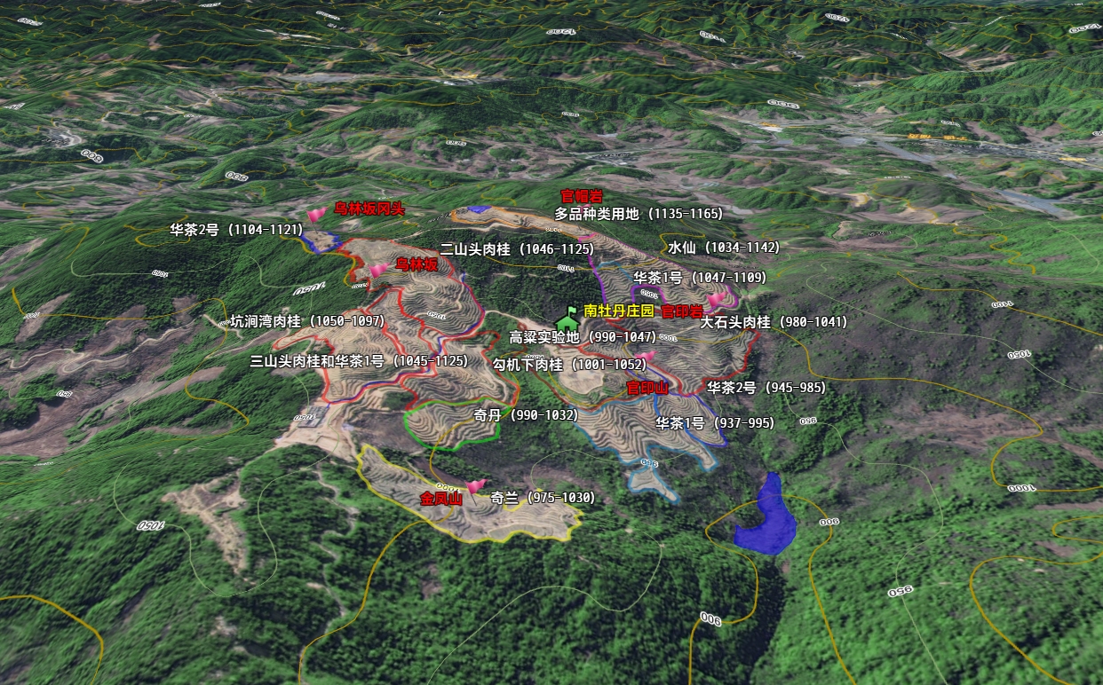 茶山1.png