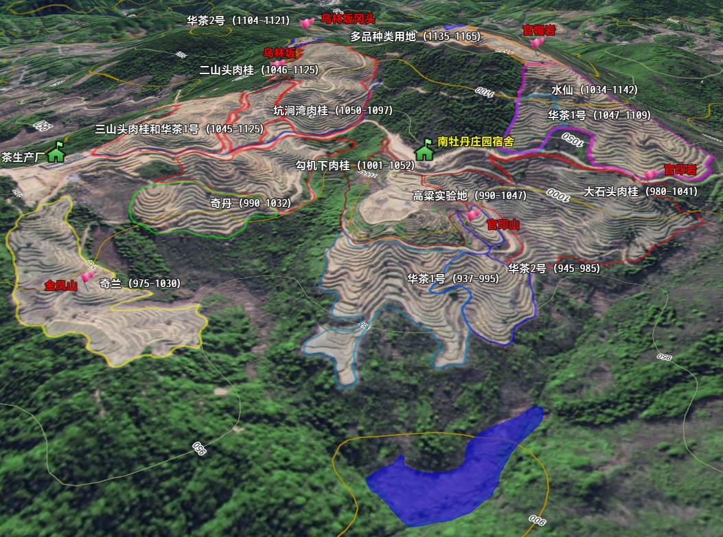 茶山3.png